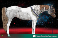 Horse Color:Liver Red Roan Tobiano 