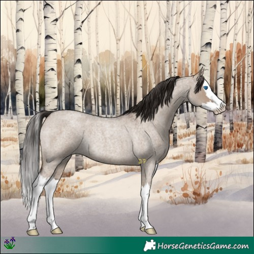 Horse Color:Liver Red Dun Roan Splash Rabicano 