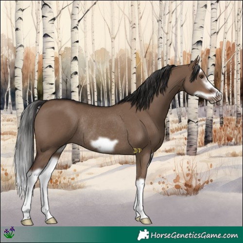 Horse Color:Liver Red Dun Splash Frame Rabicano 