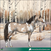 Horse Color:White Spotted Liver Red Dun Rabicano