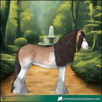 Horse Color:White Spotted Bay Dun Splash Rabicano 