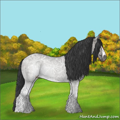 Horse Color:Grullo Ice 