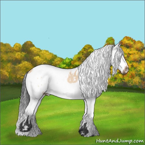 Horse Color:White Spotted Bay Dun Splash Rabicano 