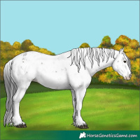 Horse Color:Brown Sabino 
