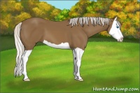 Horse Color:Silver Smoky Black Splash 