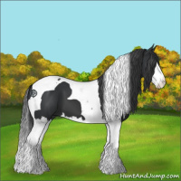Horse Color:Black Splash Tobiano 