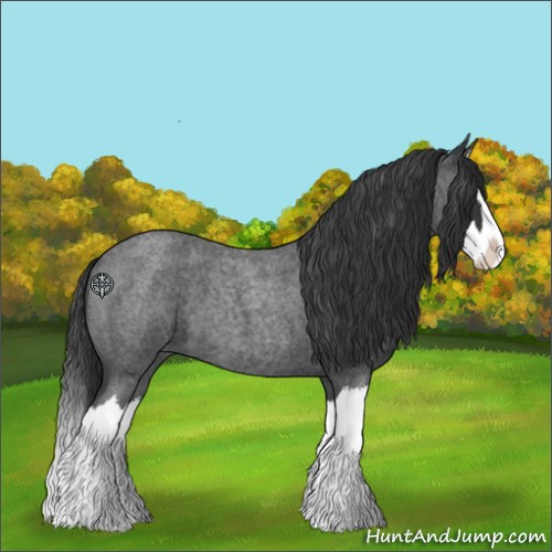 Horse Color:Blue Roan Splash 