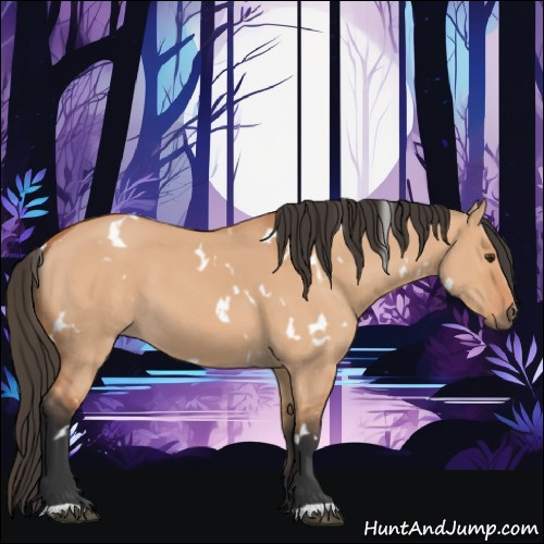 Horse Color:White Spotted Bay Dun