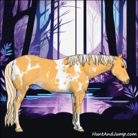 Horse Color:White Spotted Palomino 