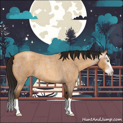 Horse Color:Gray Amber Champagne Roan Splash Rabicano 