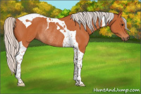 Horse Color:Silver Bay Tobiano Rabicano 