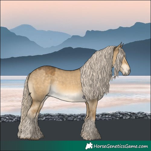 Horse Color:Chocolate Palomino Dun Mushroom Rabicano