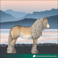 Horse Color:Chocolate Palomino Dun Mushroom Rabicano 