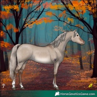 Horse Color:Liver Red Dun Mushroom Tobiano Rabicano 
