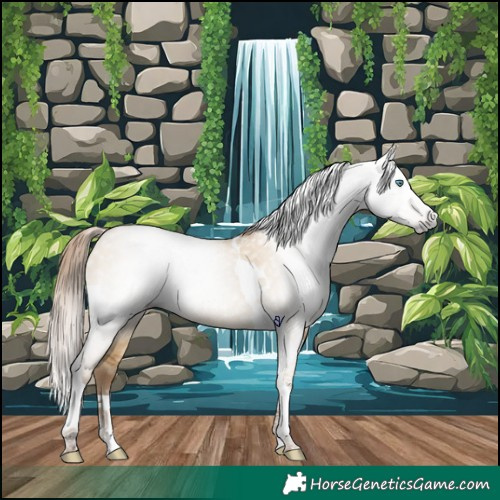 Horse Color:Gray Smoky Grullo Pearl Tobiano 