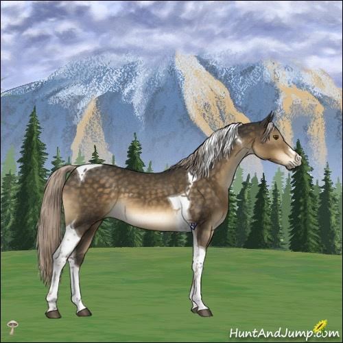 Horse Color:Chocolate Palomino Mushroom Tobiano 