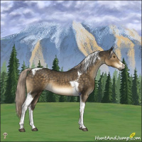 Horse Color:Chocolate Palomino Mushroom Tobiano 