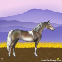 Horse Color:Liver Chestnut Mushroom Sabino Tobiano 