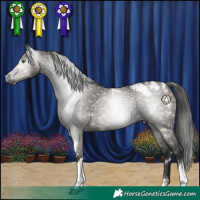 Horse Color:Gray White Spotted Smoky Grullo Tobiano Blanket 
