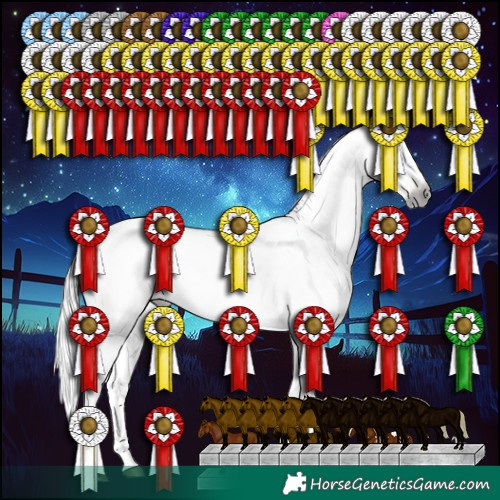 Horse Color:Gray White Spotted Silver Buckskin Dun Tobiano Blanket Rabicano
