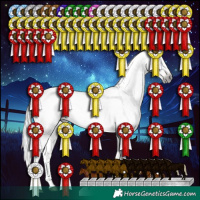 Horse Color:Gray White Spotted Silver Buckskin Dun Tobiano Appaloosa Rabicano