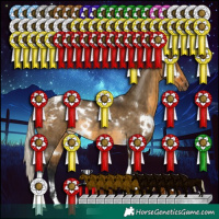 Horse Color:Gray White Spotted Silver Buckskin Dun Tobiano Blanket Rabicano