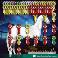 Horse Color:Gray White Spotted Silver Buckskin Dun Tobiano Appaloosa Rabicano