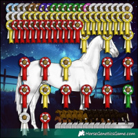 Horse Color:Gray White Spotted Silver Buckskin Dun Tobiano Appaloosa Rabicano 