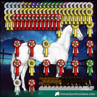 Horse Color:Gray White Spotted Silver Buckskin Dun Tobiano Appaloosa Rabicano