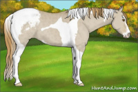 Horse Color:Classic Cream Champagne Dun Sabino Tobiano Varnish 