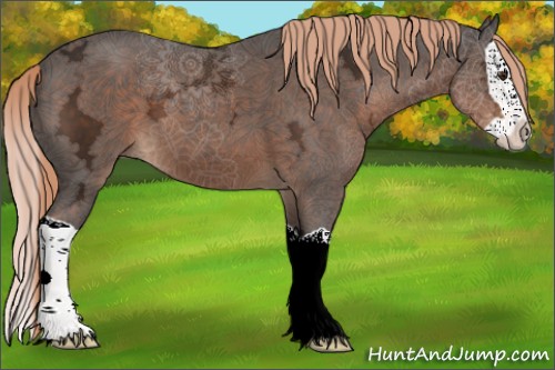 Horse Color:Liver Chestnut Ice Splash 