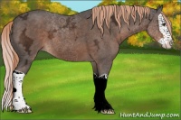 Horse Color:Liver Chestnut Ice Splash 