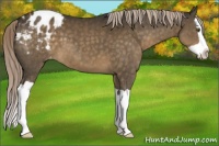 Horse Color:Chocolate Palomino Splash Blanket 