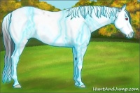 Horse Color:Thunderstruck White Spotted Chocolate Brown Chinchilla Splash Tobiano 