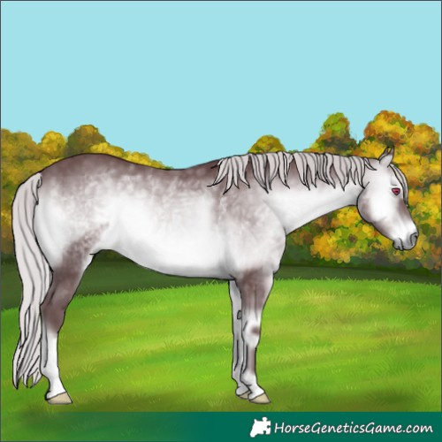Horse Color:Chocolate Silver Brown Chinchilla Onyx Mushroom 