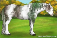 Horse Color:White Spotted Brown Ice Pearl Splash 