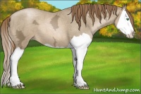 Horse Color:Smoky Black Ice Pearl Splash 