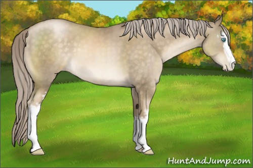 Horse Color:White Spotted Chocolate Palomino Pearl Sabino