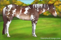 Horse Color:White Spotted Chocolate Brown 