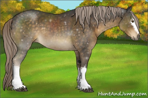 Horse Color:White Spotted Chocolate Palomino Sabino 