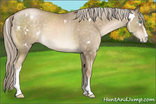 Horse Color:White Spotted Chocolate Palomino Pearl 