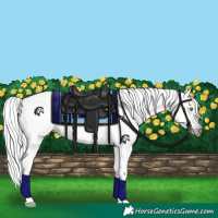 Horse Color:Gray Silver Amber Champagne Tobiano 