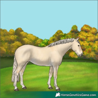 Horse Color:Palomino Dun 