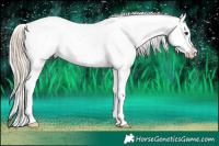 Horse Color:Chocolate Palomino Roan Splash Frame Varnish 