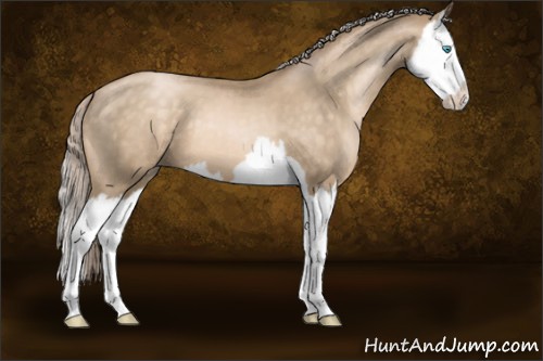 Horse Color:Chocolate Palomino Pearl Splash 