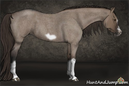 Horse Color:Liver Red Dun Roan Splash Frame Rabicano 