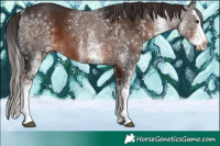 Horse Color:White Spotted Liver Chestnut Splash 