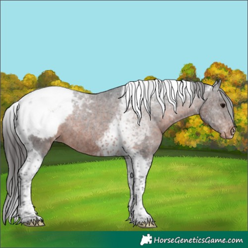 Horse Color:Brown Tobiano Snowcap