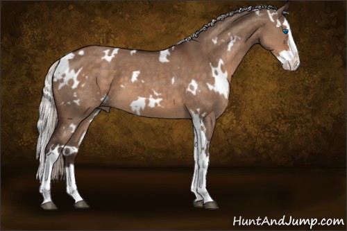 Horse Color:White Spotted Silver Brown Dun Splash 