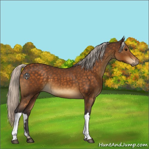 Horse Color:Silver Buckskin 